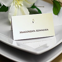 FW1078